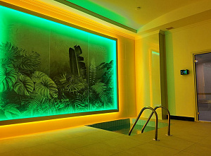 Yekta Kingdom Premium