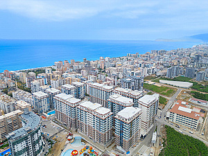 Yekta Kingdom Premium