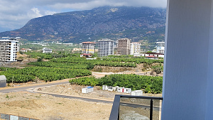 Tekinoglu Residence
