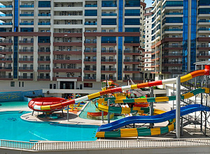 Yekta Kingdom Premium